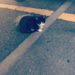 燃やせないゴミ